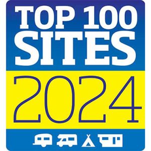 Top 100 Sites 2024 logo