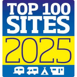 Top 100 Sites 2025 logo