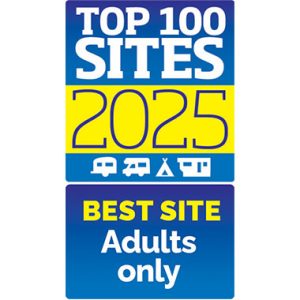 Top 100 Sites 2025 best sites adults only logo