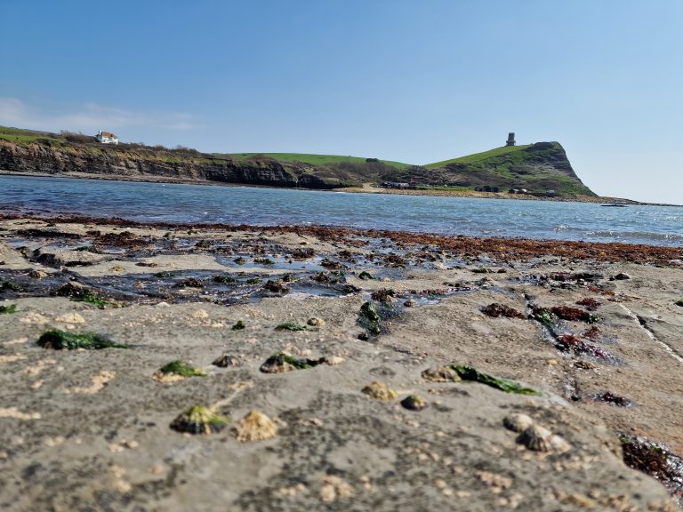 Kimmeridge Bay, Jurassic coast, Dorset