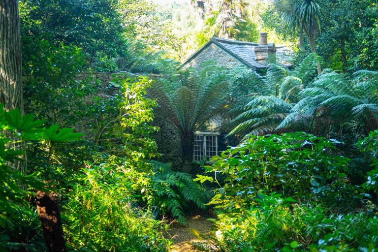 Abbotsbury Sub-Tropical Gardens