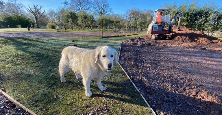 New hardstanding fully serviced pitches for 2021
