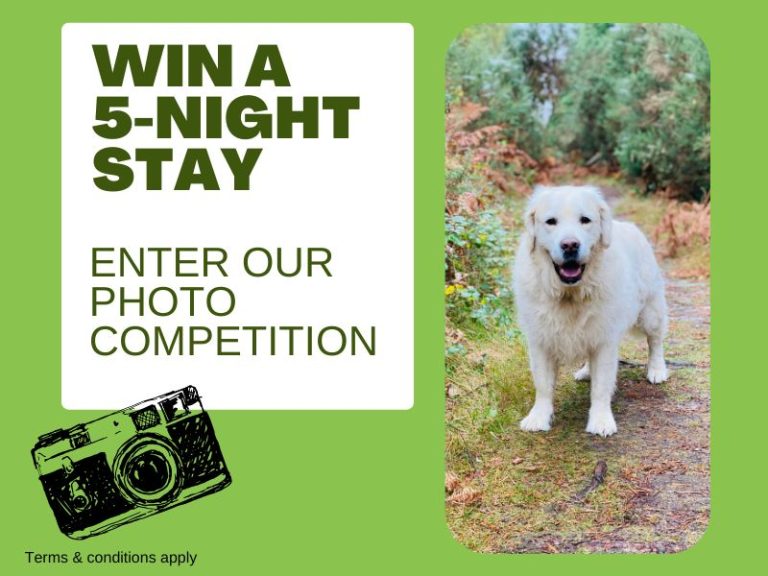 Photography competition