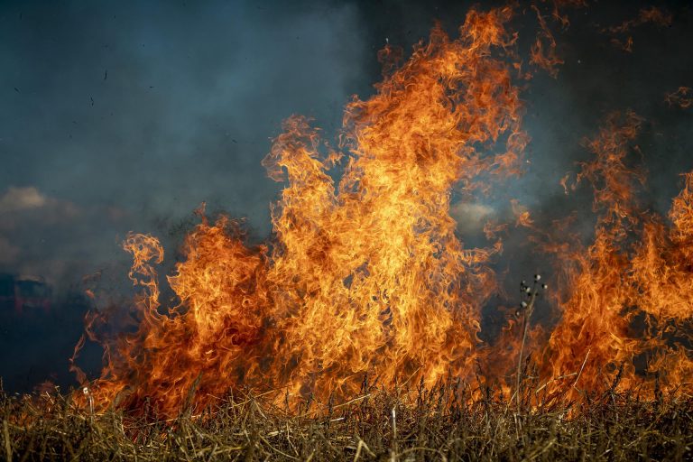 fire