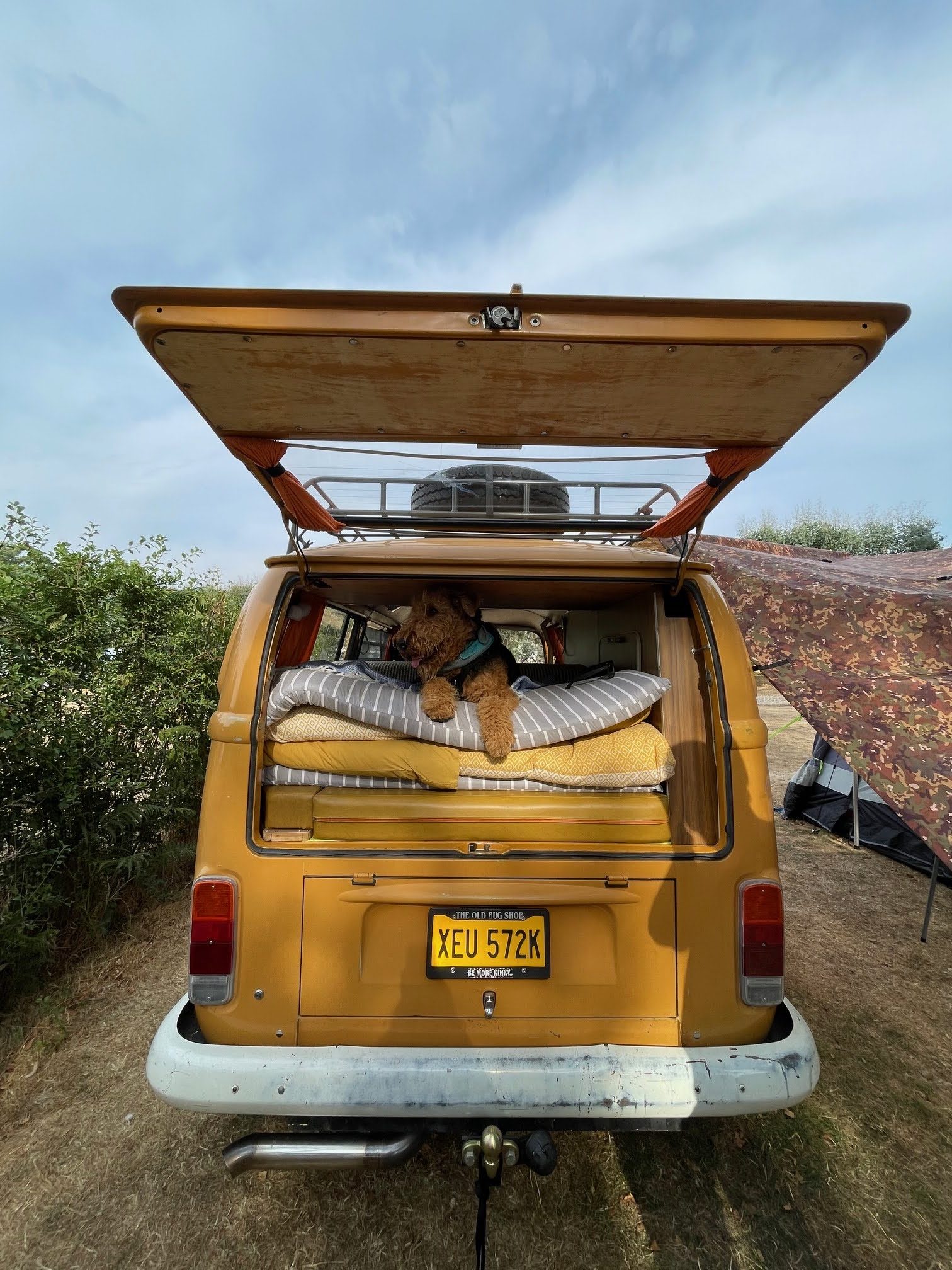 Campervan at Back of Beyond Touring Park