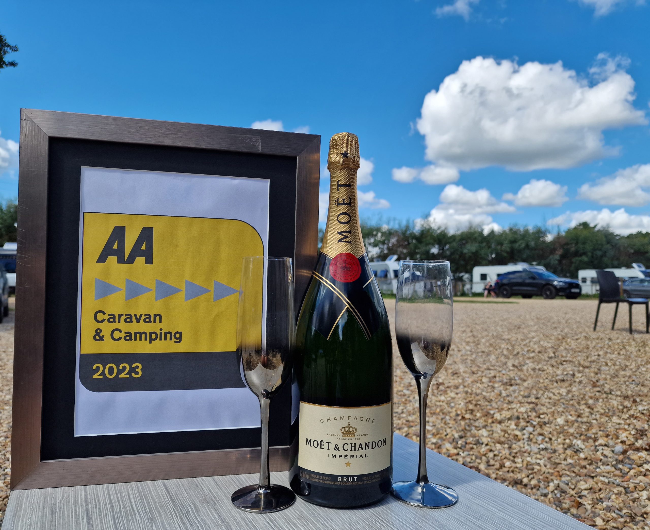 AA Five pennant platinum award