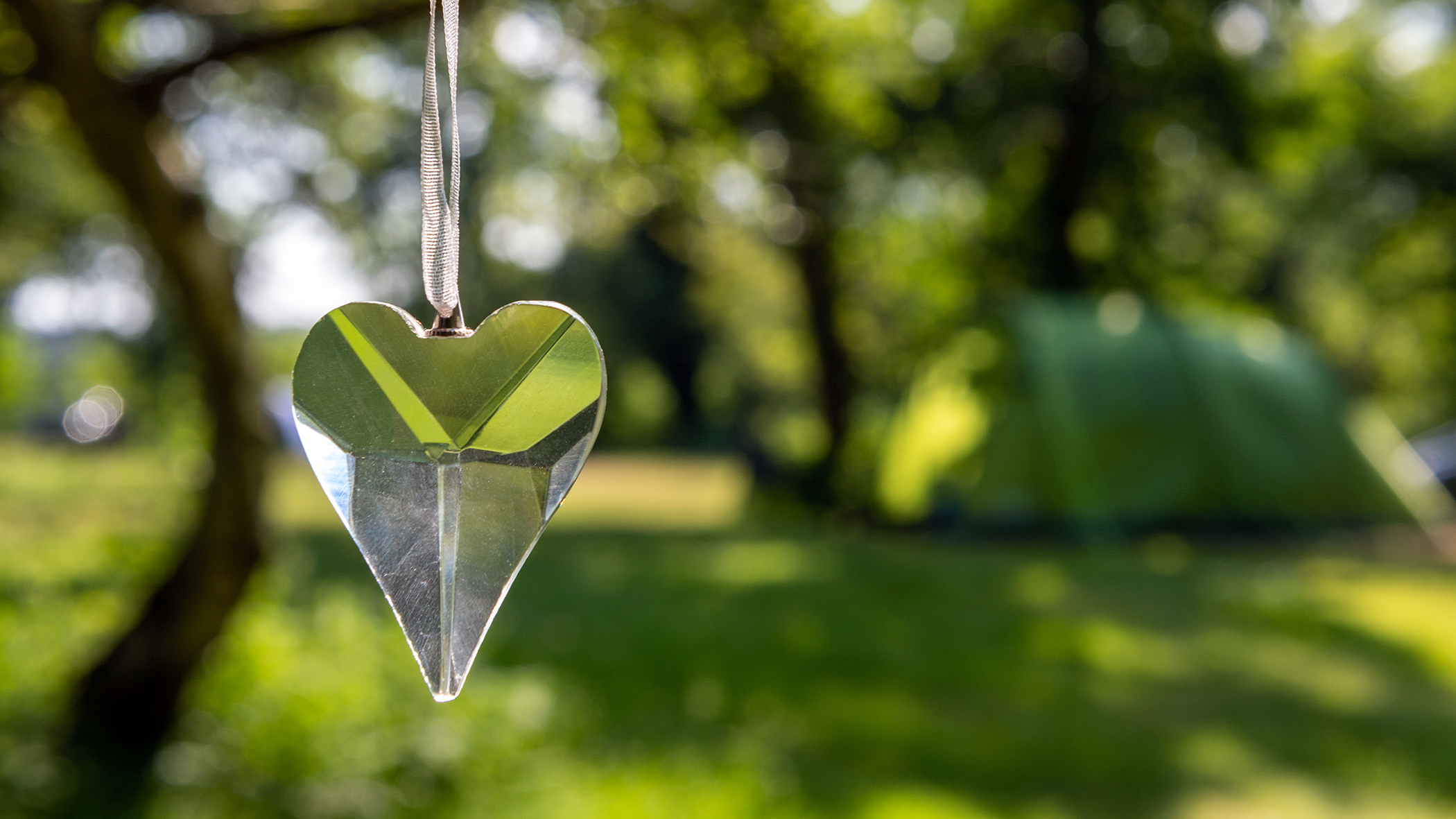 Camping at Back of Beyond Touring Park