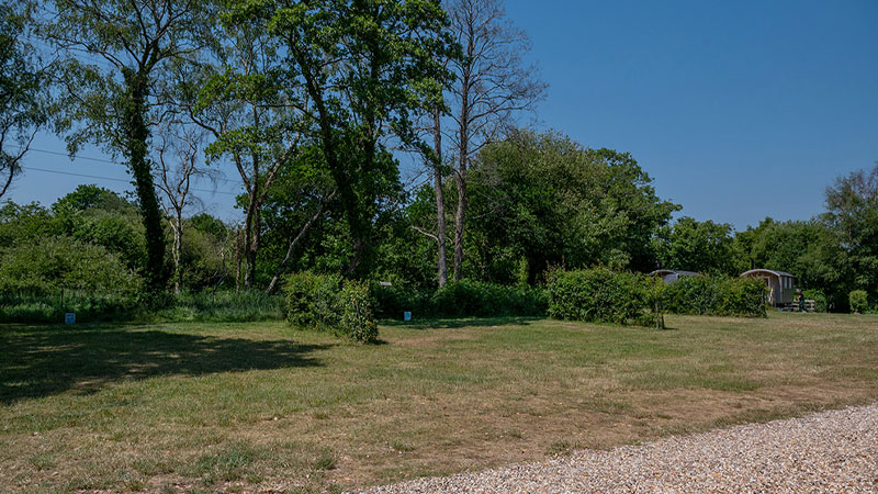 Non-electric pitches in Damson