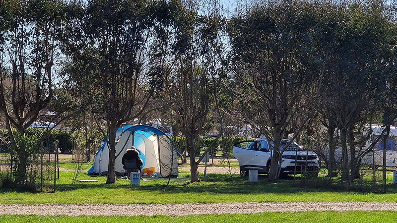 Camping pitches at Back of Beyond