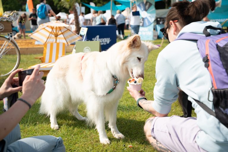 Dogstival