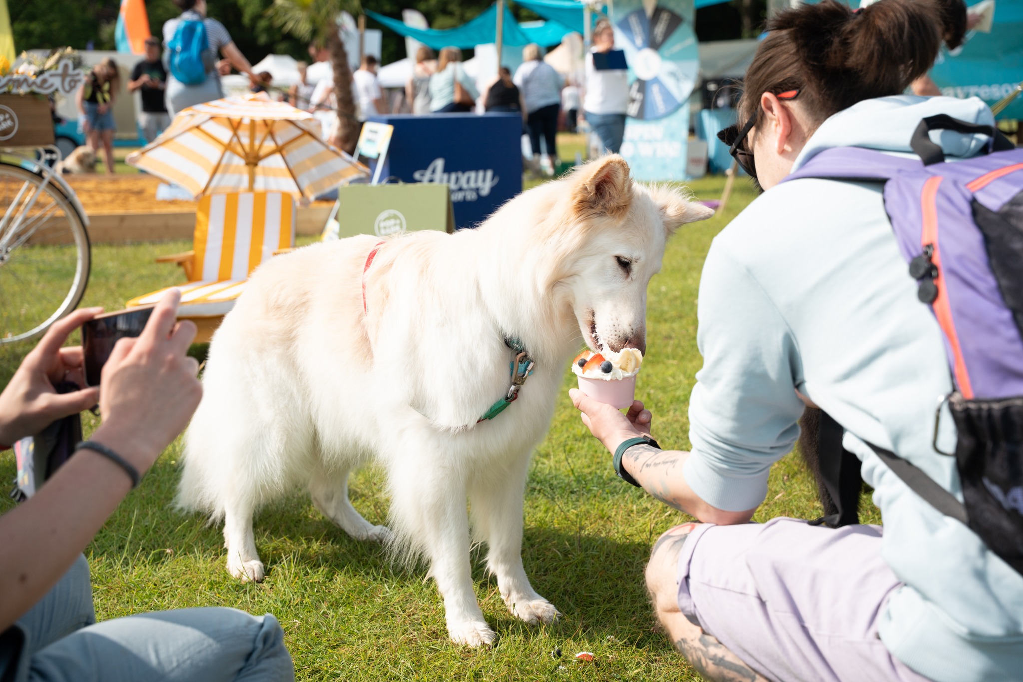 Dogstival