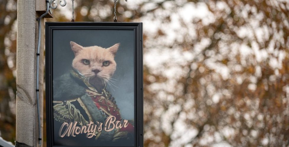 BOB_AutumnXmas_234w-1024×681-978×500 Monty's Bar sign
