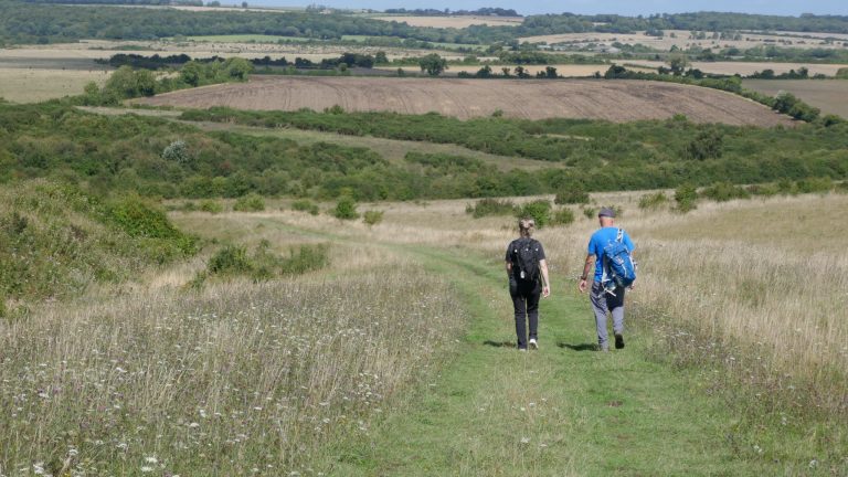 Cranborne Chase AONB