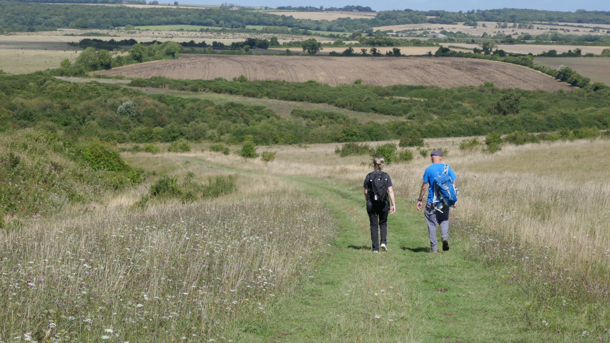 Cranborne Chase AONB