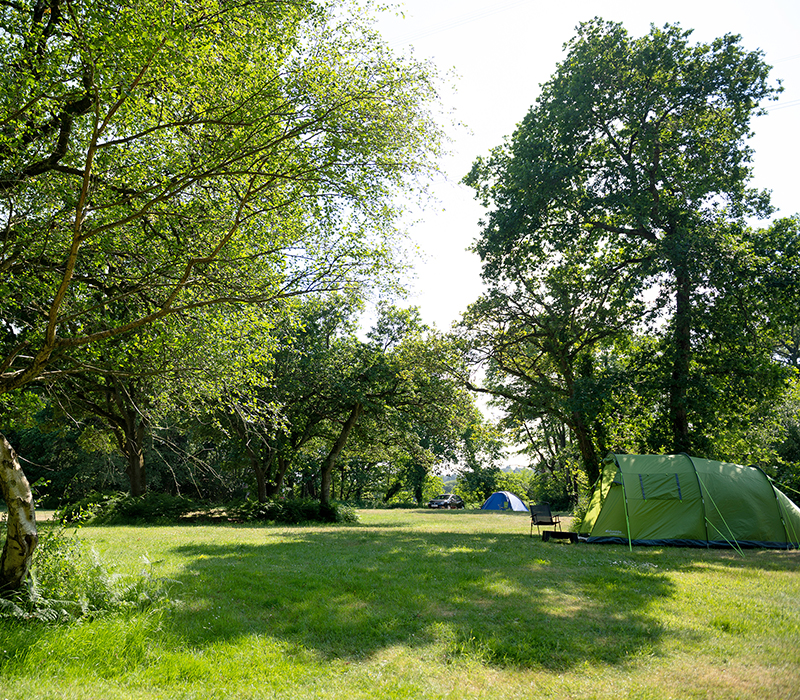 Camping in Emma's Glade at Back of Beyond