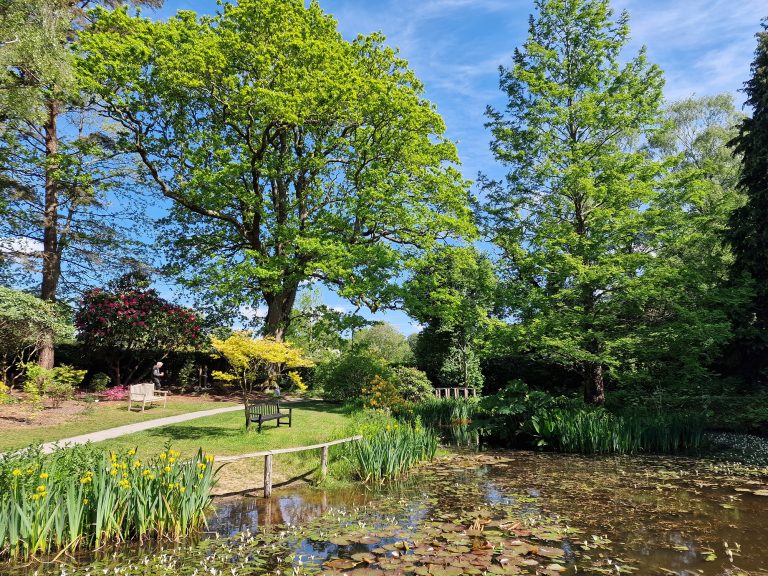 Furzey Gardens