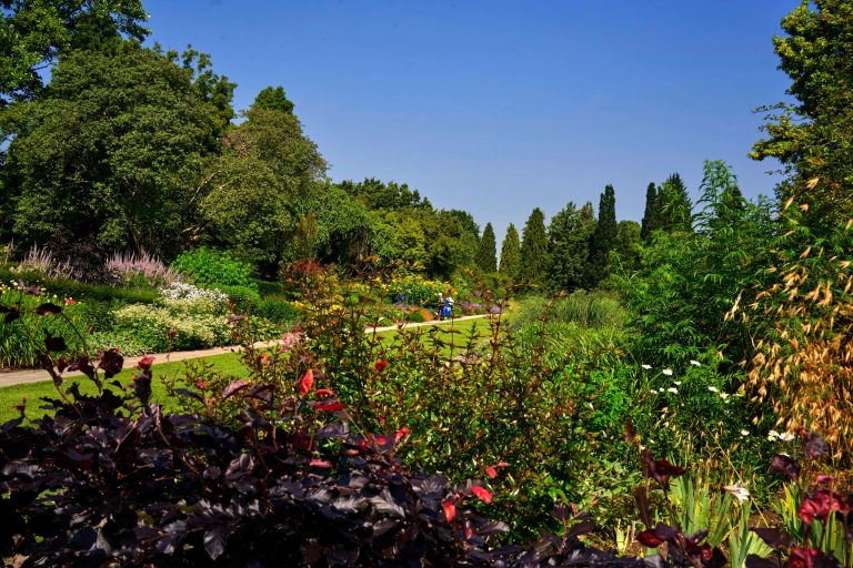 Sir Harold Hillier Gardens