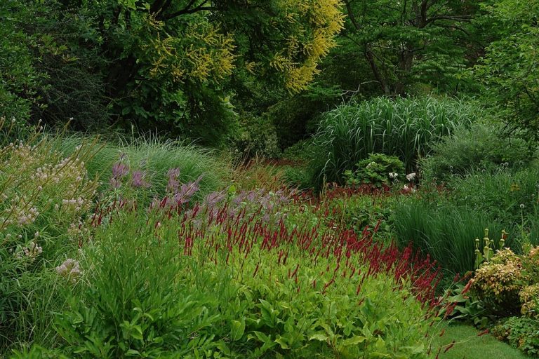 Knoll Gardens