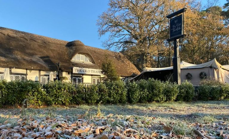 The Old Thatch