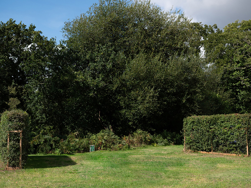 An empty pitch in Damson