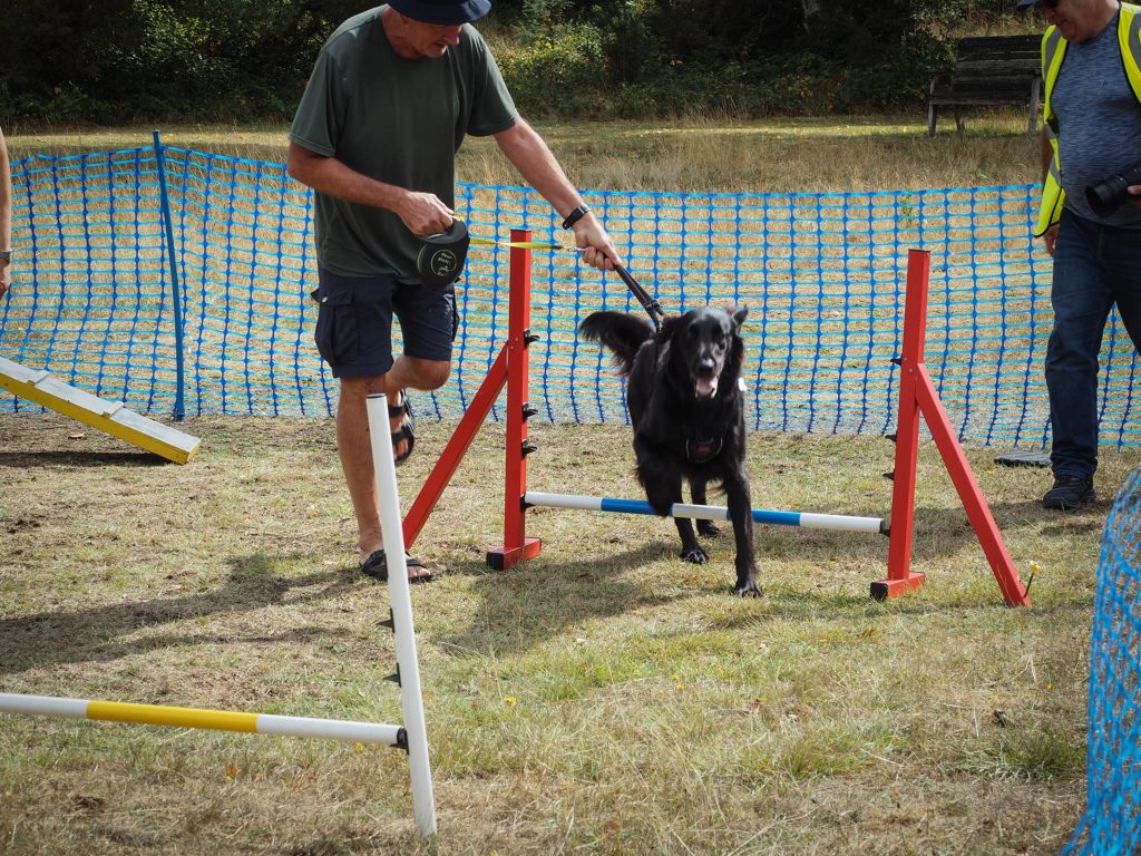 Dog agility course at Back of Beyond