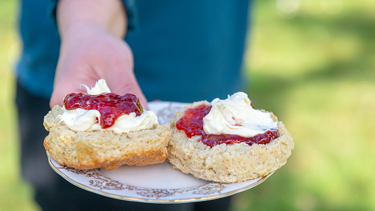 Two scones with jam and cream at Back of Beyond