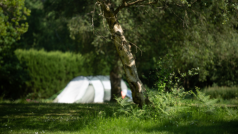 Tent pitched up at Emma's Glade