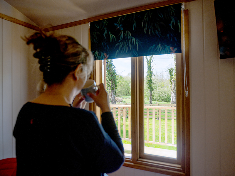 A person taking in the view of the garden from a shepherd hut