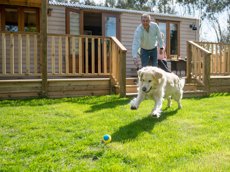 Dog chasing a ball in the private garden area of an ensuite shepherd hut