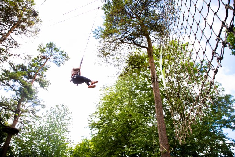 Person on a zipwire swings between the trees at Go Ape Moors Valley
