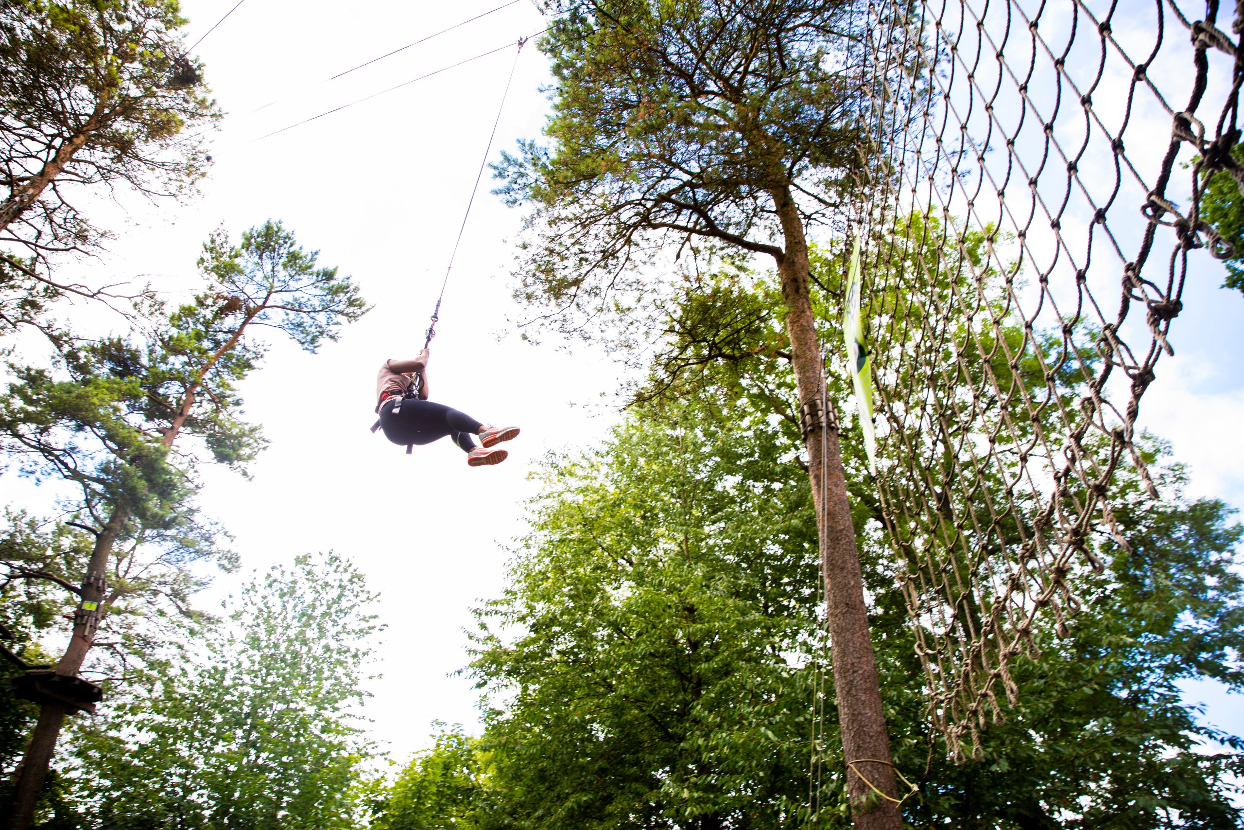 Person on a zipwire swings between the trees at Go Ape Moors Valley